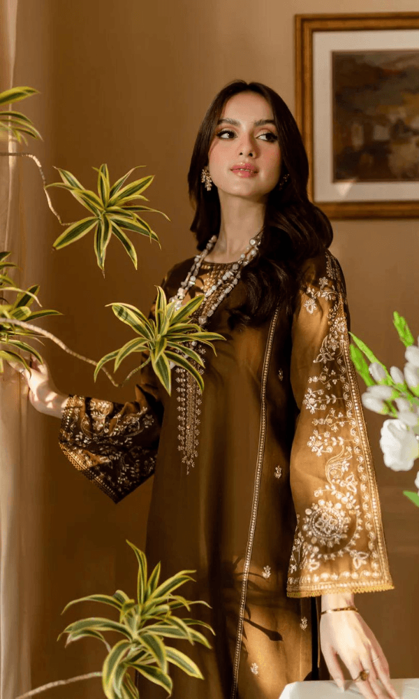 BAREEZE LAWN PREMIUM UNSTICH EMB 2PC - City Cloth House