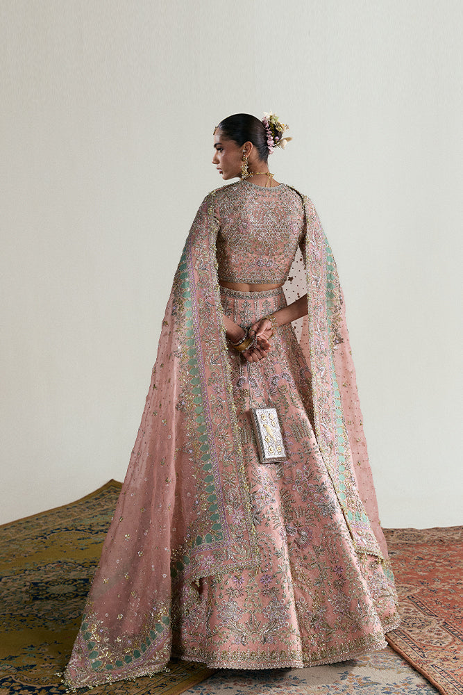 SUFFUSE ORGANZA UNSTITCHED EMB AAB-E-ZAR D-2 MAXI