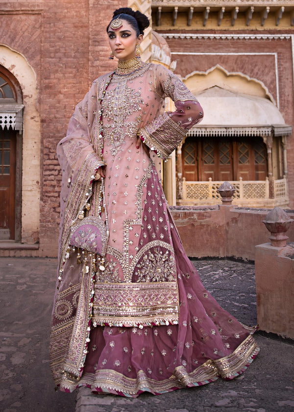 MNR ORGANZA UNSTITCHED EMB SUIT