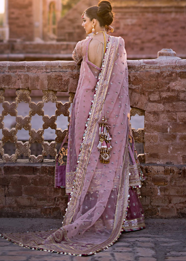 MNR ORGANZA UNSTITCHED EMB SUIT