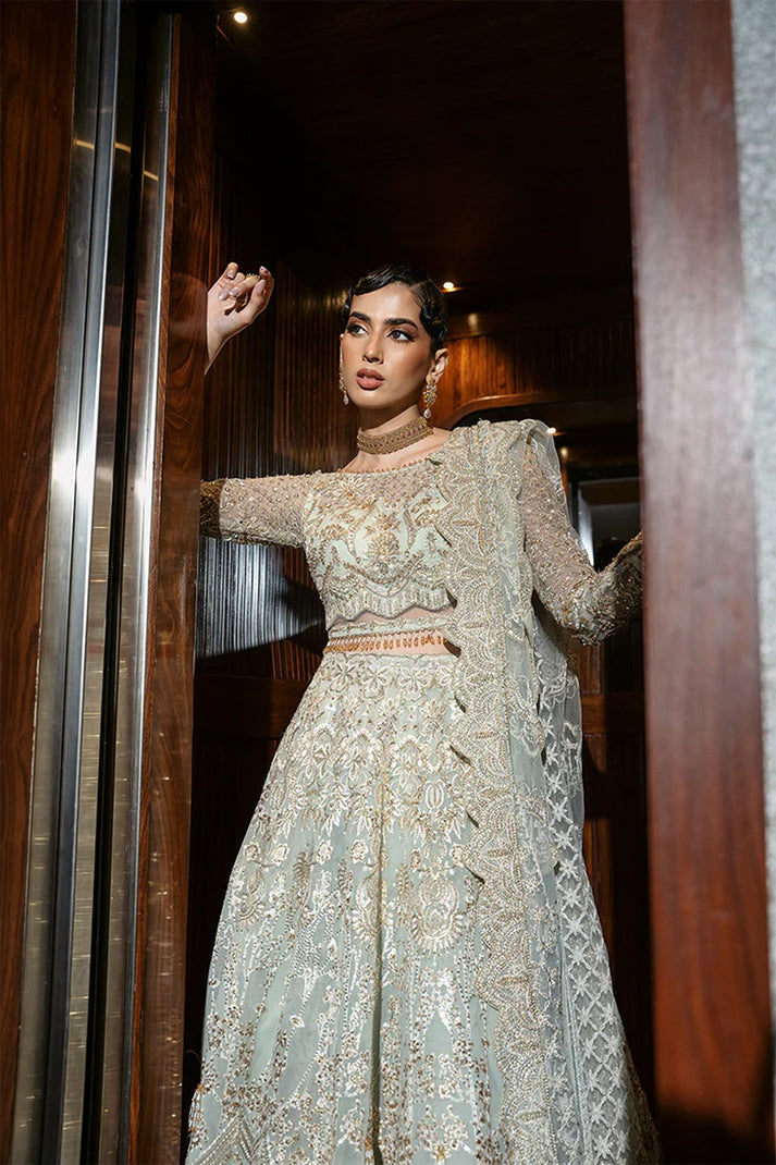 SAIRA RIZWAN ORGANZA UNSTITCHED EMB SRF-D-2 MAXI