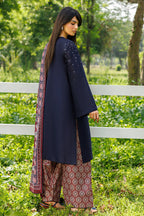 Rivayat | Emb Unstitched Dhanak 3pc