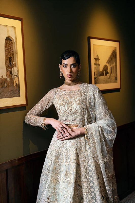 SAIRA RIZWAN ORGANZA UNSTITCHED EMB SRF-D-2 MAXI