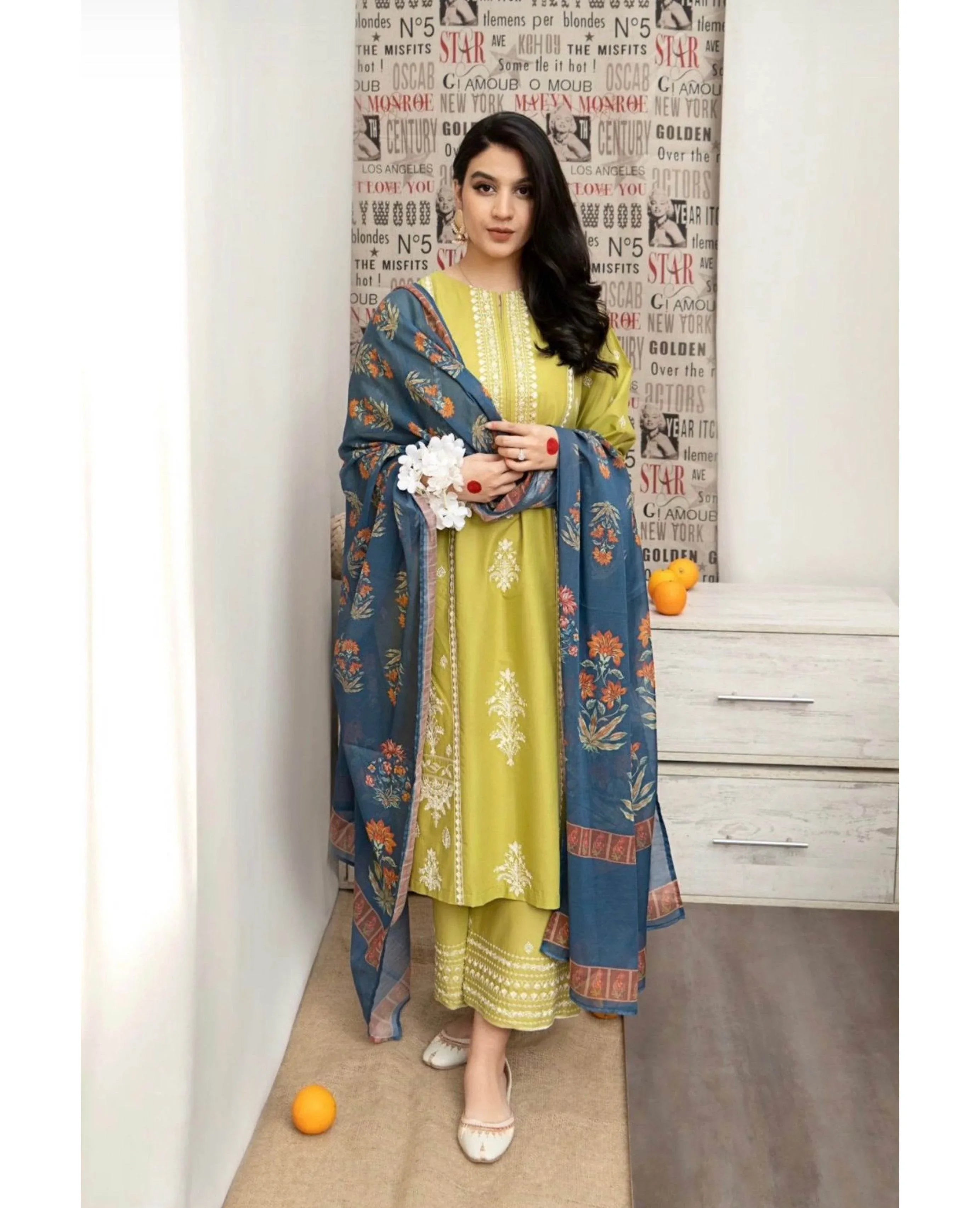 AISLING DHANAK UNSTITCHED EMB 3PC - City Cloth House