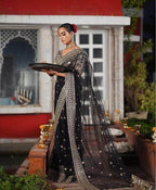 QALAMKAR NET UNSTITCHED EMB SAREE - City Cloth House