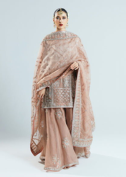 HUSSAIN REHAR ORGANZA UNSTITCHED EMB DUNE SUIT