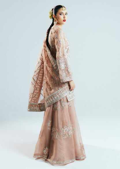 HUSSAIN REHAR ORGANZA UNSTITCHED EMB DUNE SUIT