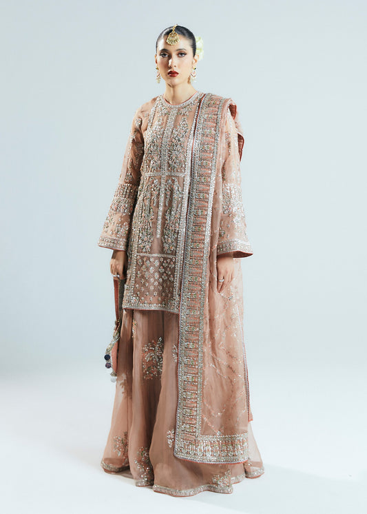 HUSSAIN REHAR ORGANZA UNSTITCHED EMB DUNE SUIT