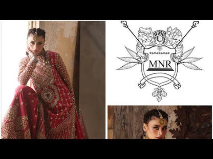 MNR ORGANZA UNSTITCHED EMB SUIT